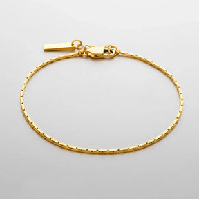 Pulsera Minimalista Dominus